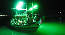 Fishing by night Thumbnail Picture