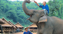 Elefanten- Besitzer fuer einen Tag: Mahout Training auf der Pattara Elephant Farm Thumbnail Picture