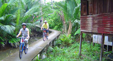Cycle Tour Bangkok Jungle Thumbnail Picture