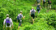 Trekking at Sanpatong Area : 2 Days / 1 Night (Joining Tour) Thumbnail Picture